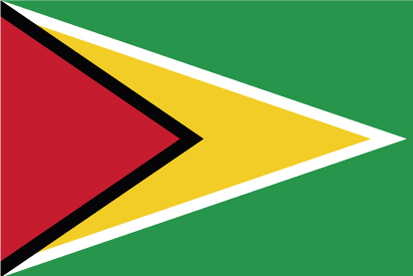 Bandera Guyana