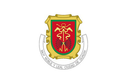 Bandera Escudo Guadix