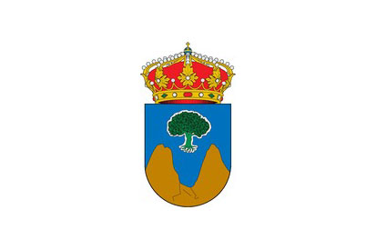 Bandera Puebla de Valles