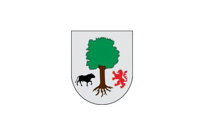 Bandera Aia
