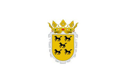 Bandera Alegia