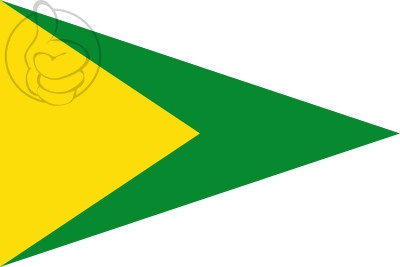 Bandera Collsuspina