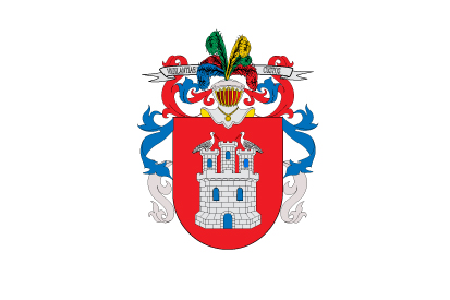 Bandera Irun