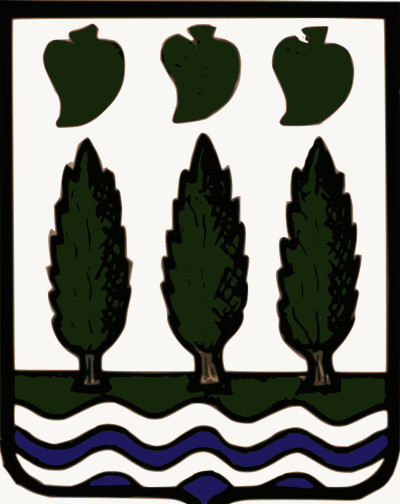 Bandera Lezo