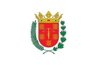 Bandera Sariñena