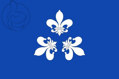 Bandera Tremp
