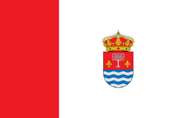 Bandera Magaz de Cepeda