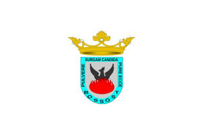 Bandera Bossòst