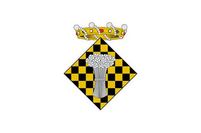 Bandera Linyola