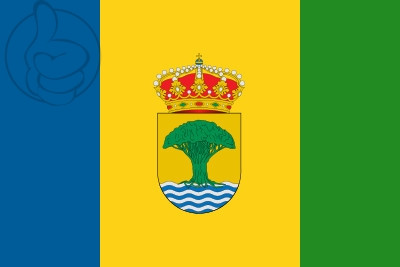 Bandera Alajeró