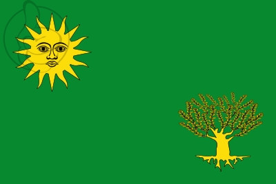 Bandera Solivella