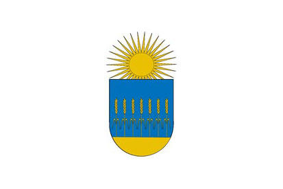 Bandera Cendea de Olza/Oltza Zendea