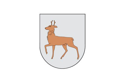 Bandera Ibargoiti