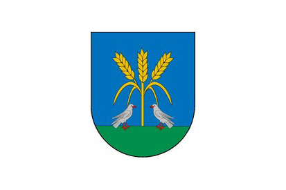 Bandera Lizoáin-Arriasgoiti