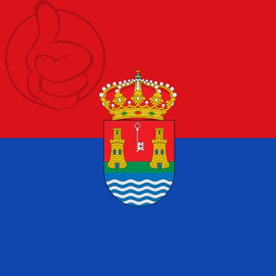 Bandera Alcazarén