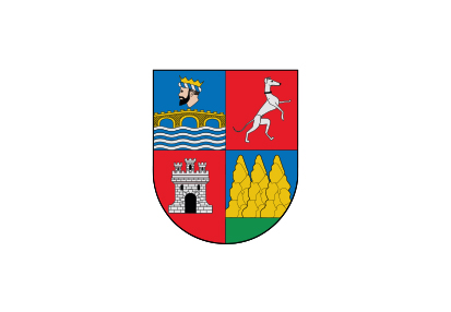 Bandera Roncal/Erronkari