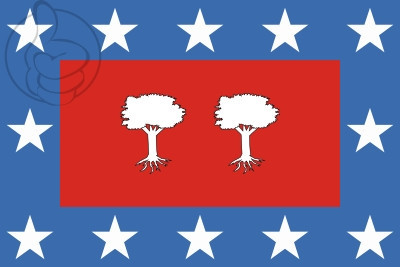 Bandera Camporredondo (Valladolid)