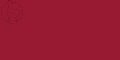 Bandera Aguilar de Campos
