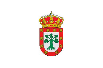 Bandera Paderne de Allariz