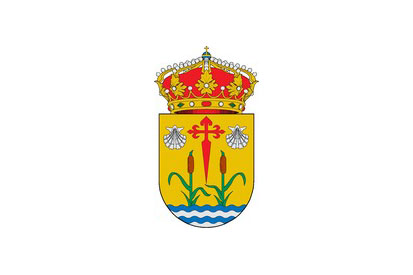 Bandera Sarreaus