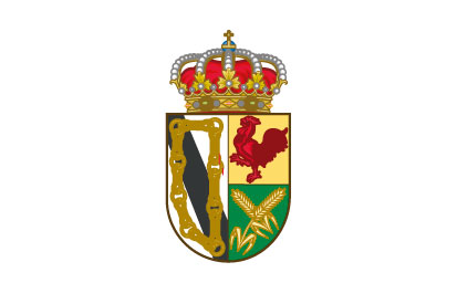 Bandera Xinzo de Limia