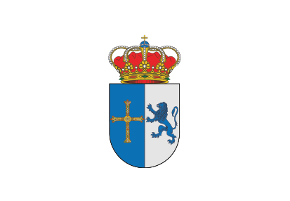 Bandera Cangas del Narcea