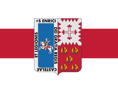 Bandera Ponga
