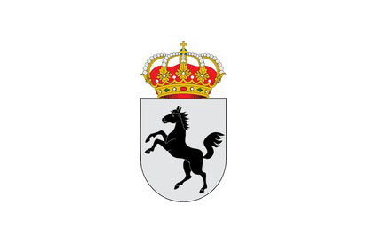 Bandera Villar de la Yegua