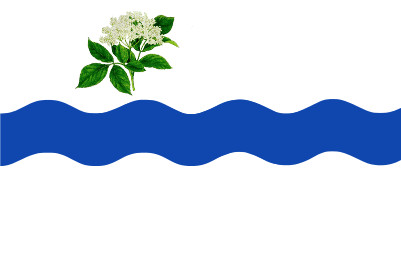 Bandera Fuentesaúco de Fuentidueña