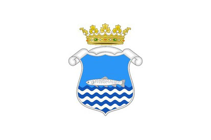 Bandera Riaza