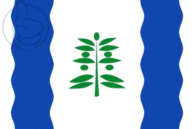 Bandera Cinco Olivas