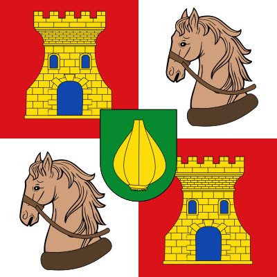 Bandera Vallelado