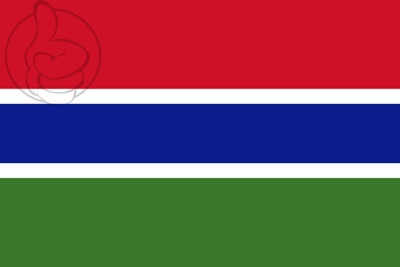 Bandera Gambia