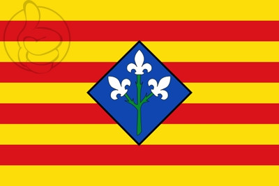 Bandera Provincia de Lérida