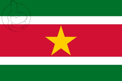 Bandera Surinam
