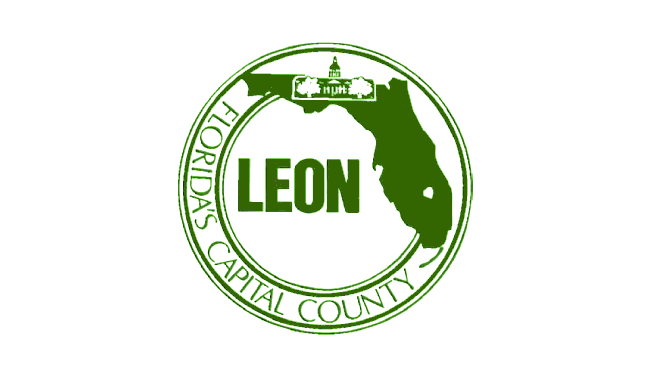 Bandera de Condado de León