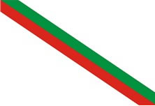 Bandera de Itaúna