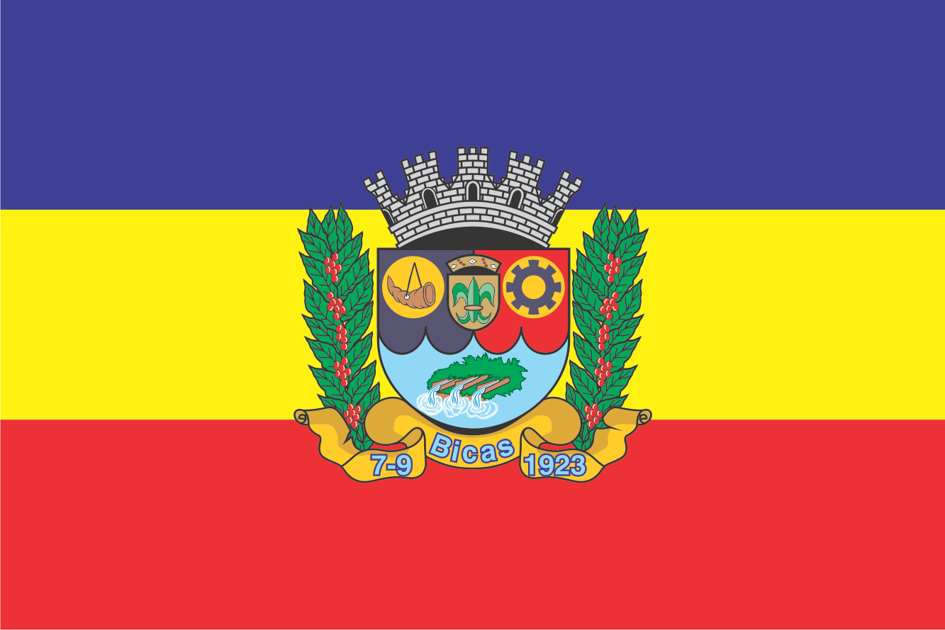 Bandera de Bicas