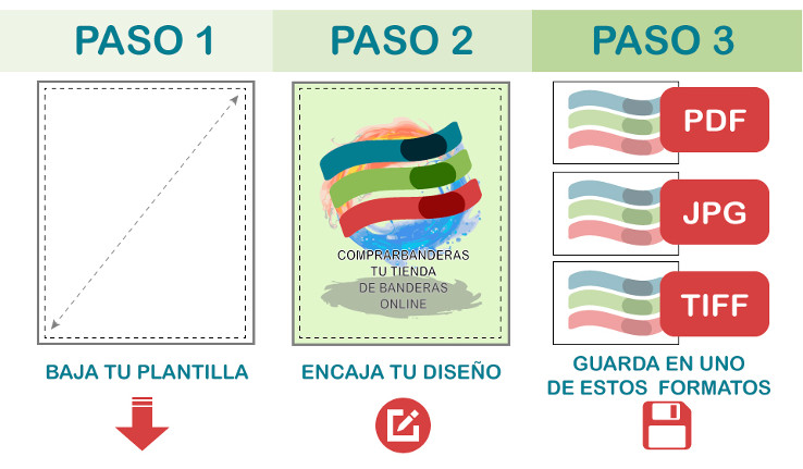plantilla