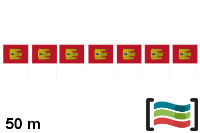Banderines Castilla La Mancha 50m de plástico