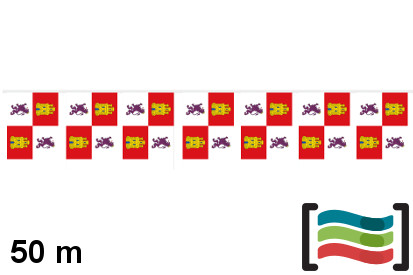 Banderines Castilla y León 50m