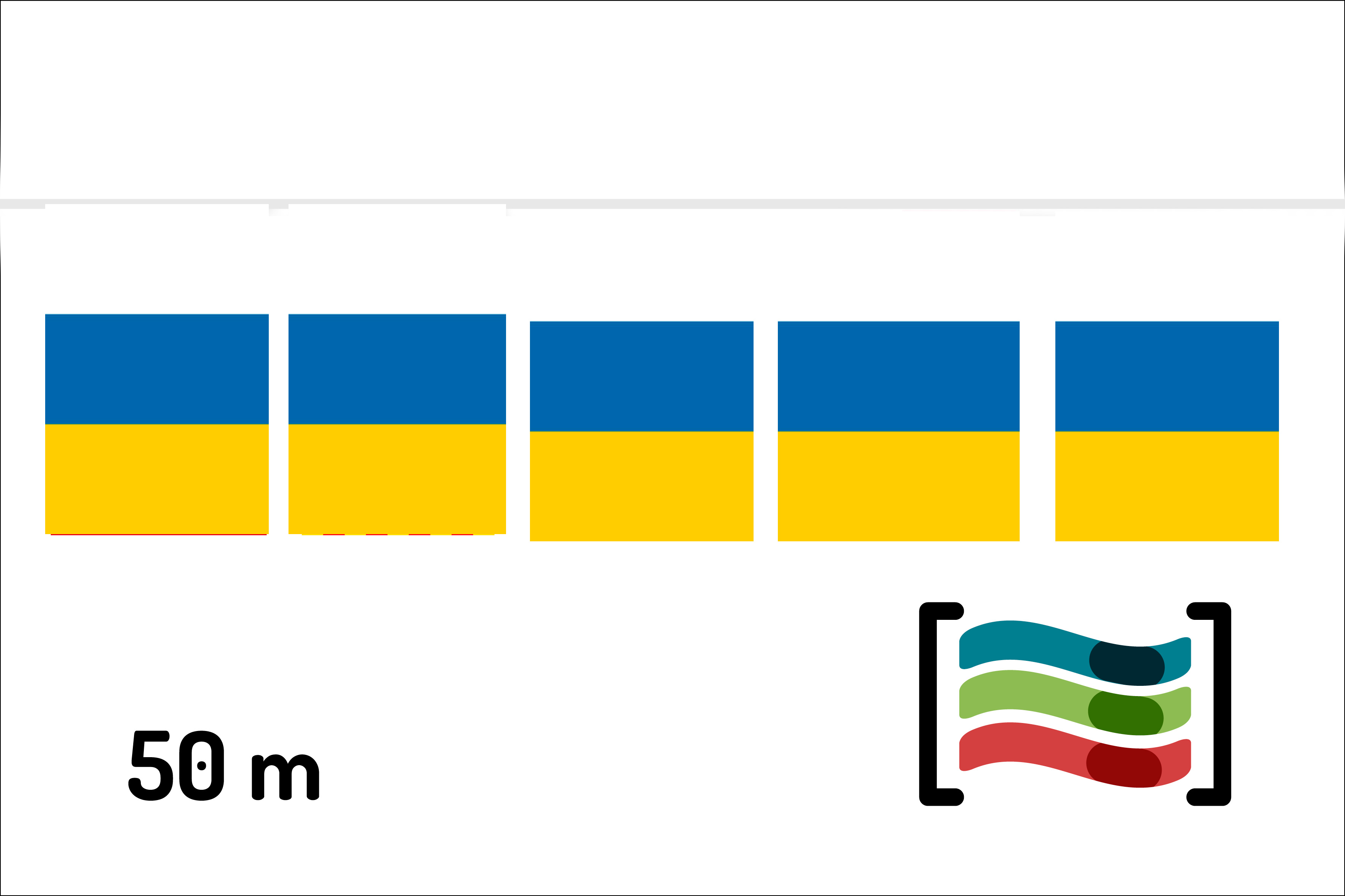 Banderines de Canarias 50m