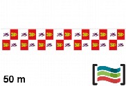 Banderines Castilla y León 50m