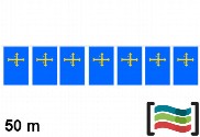 Banderines de Asturias 50m