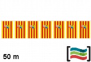 Banderines de Aragón 50m