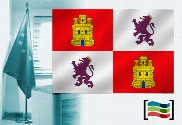 Bandera de Castilla y León para despacho
