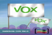 15 Banderas Vox de mano con palo de Tela