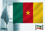 Bandera de Camerún para despacho