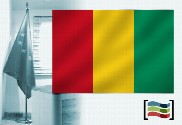 Bandera de Guinea para despacho