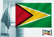 Bandera de Guyana para despacho